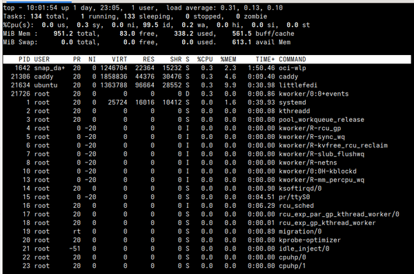 Top output from Linux server running minimal load running single user LittleFedi instance.