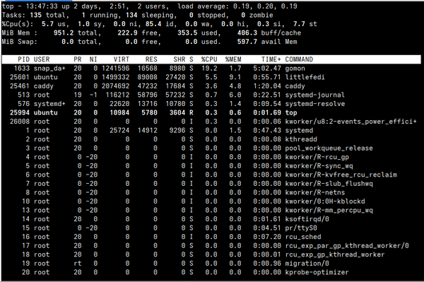 Screenshot of top on Linux server running LittleFedi showing Load Average <0.2.